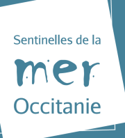 Journée d'échange : Accompagner la transition écologique en milieu marin à Port Camargue