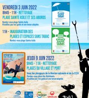 Action nettoyage des plages du village et du port