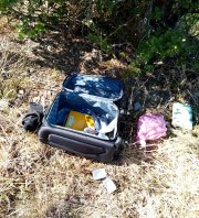 CLEANUP DE LA FORESTIÈRE