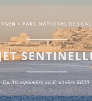 Projet Sentinelle Marine de l’Archipel du Frioul - J6