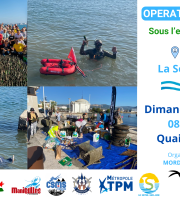 Opération nettoyage - Port de La Seyne sur mer (Var 83)