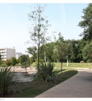 8ème collecte de déchets 2025 - Parc Ste Musse