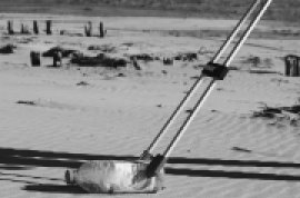 Collecte de déchets - Honfleur.