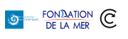 66efcd2b6428d437701805.png