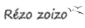 Rézo zoizo